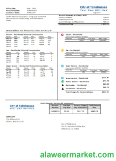 Florida City of Tallahassee Florida Your Own Utilities business bill,  SCR